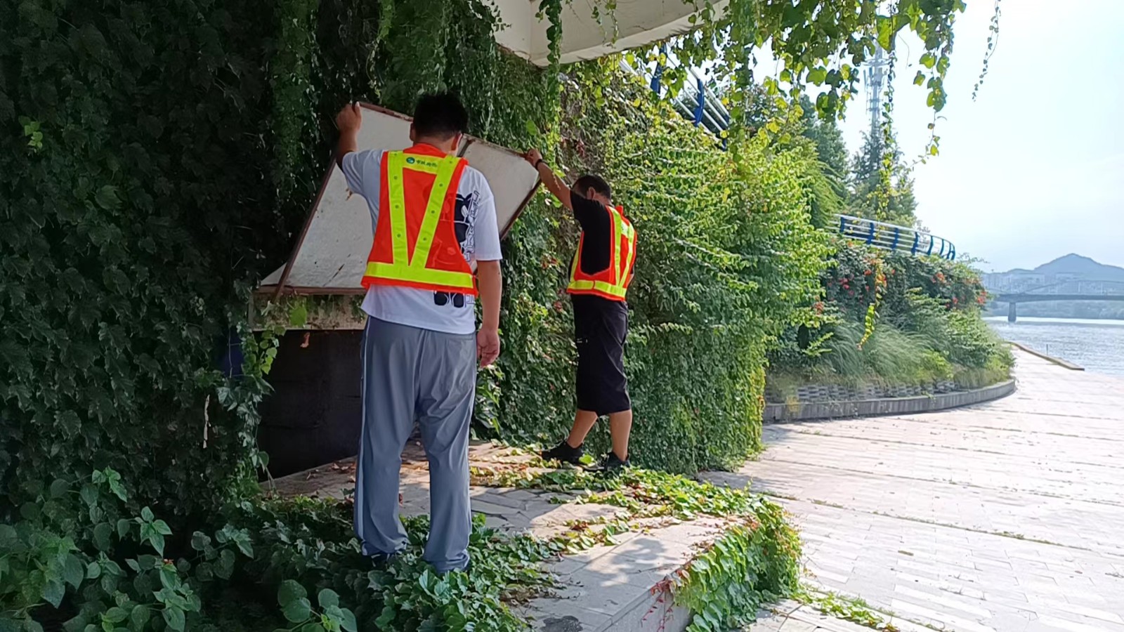 53453990.jpg 53453990.jpg