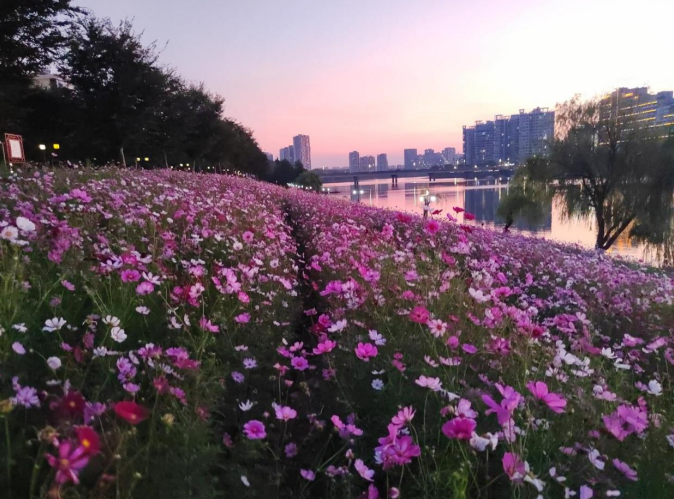 85179101.png image.png