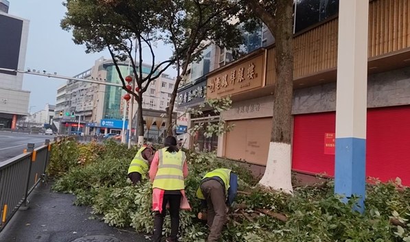 28903110.png 微信截圖_20241212183718.png