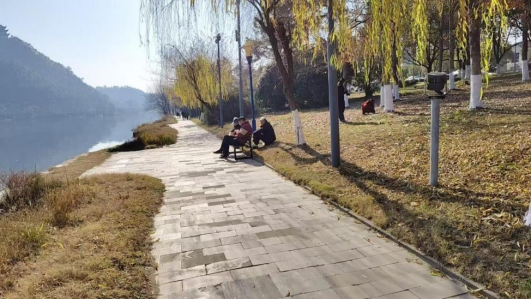 50997359.png image.png