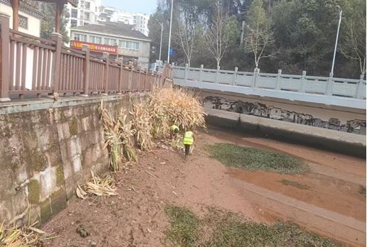 10469816.png 微信截圖_20250221151919.png